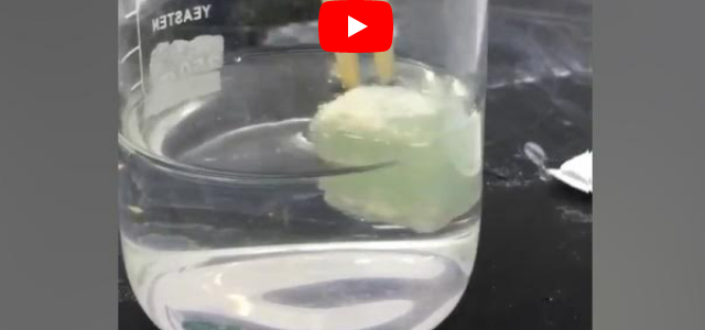 Separation of the water and oil of the Hydrophobic Aerogel